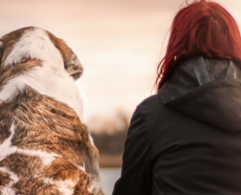 Il 14 e il 28 giugno un percorso formativo per i proprietari di cani, con il conseguimento del patentino. Tutte le info
